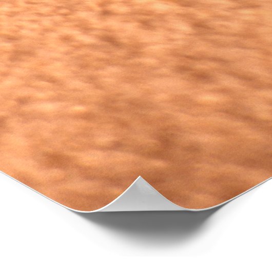 ライオンズポー ポスター (角)