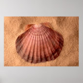 ライオンズポー ポスター (正面)