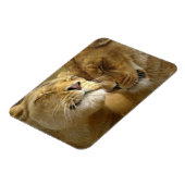 ライオンズマグネット マグネット (左側)