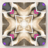 ライオンズ共有 コースター (正面)