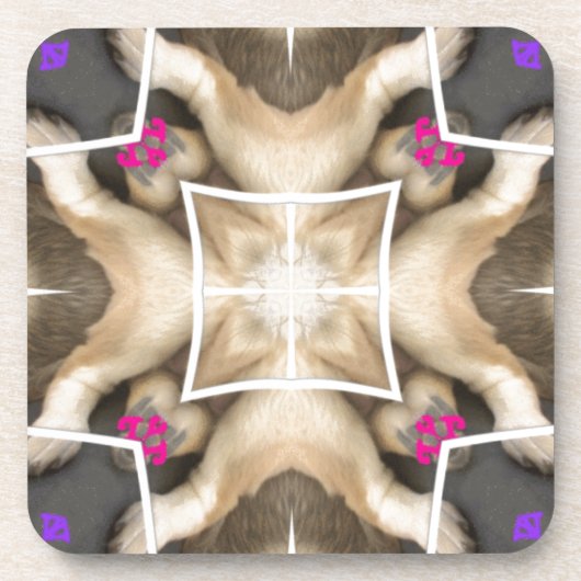 ライオンズ共有 コースター (正面)