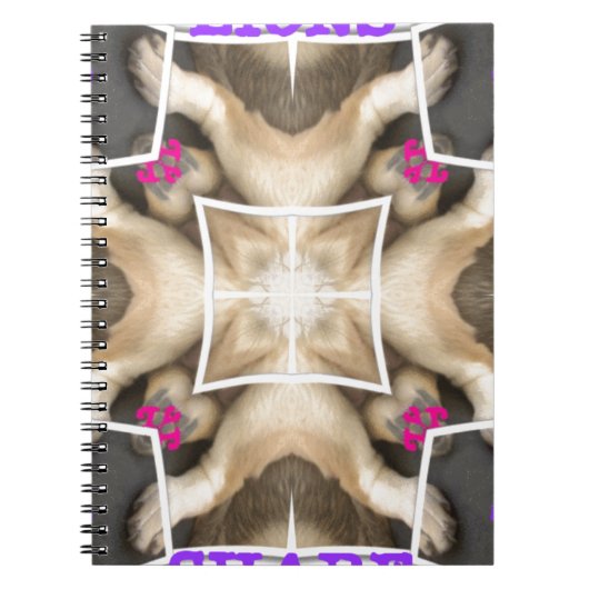 ライオンズ共有 ノートブック (正面)