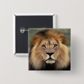 ライオンズ写真 缶バッジ (正面&裏面)