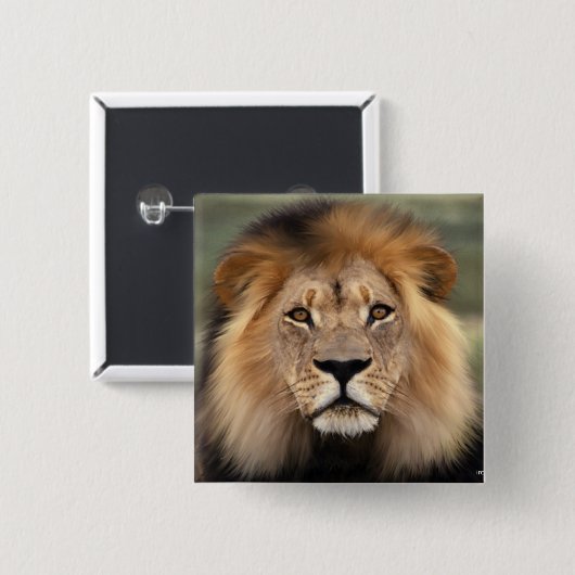 ライオンズ写真 缶バッジ (正面&裏面)