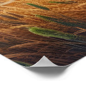 ライオンズ威厳のあるローミングフリー ポスター (角)