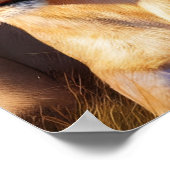 ライオンズ威厳のあるローミング伝統ランド ポスター (角)