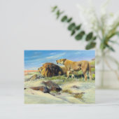 ライオンズ威厳のあるヴィンテージ自然絵画ズ ポストカード (スタンド正面)