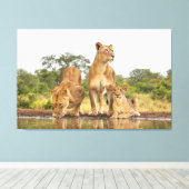 ライオンズ3杯 キャンバスプリント (インサイチュ (ウッドフロア))