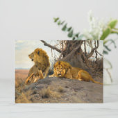 ライオンズ | ウィルヘルムクハルト (スタンド正面)