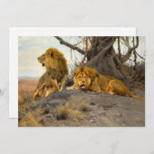 ライオンズ | ウィルヘルムクハルト (正面/裏面)