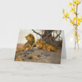 ライオンズ | ウィルヘルムクハルト カード (黄色い花)