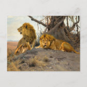 ライオンズ | ウィルヘルムクハルト ポストカード (正面)