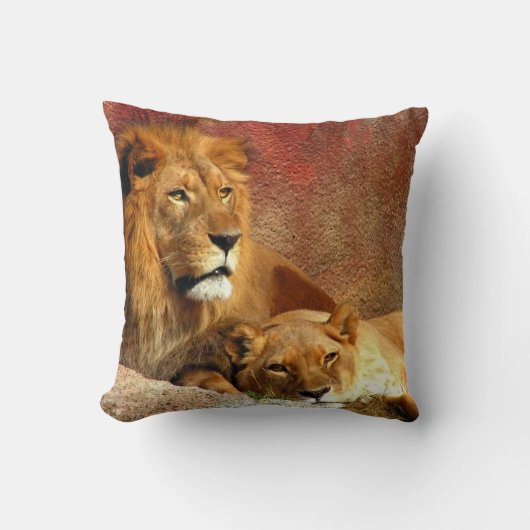 ライオンズ クッション (正面)