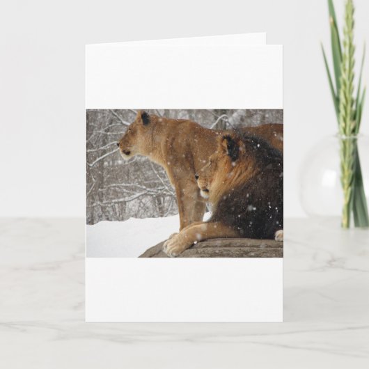 ライオンズ シーズンカード (正面)