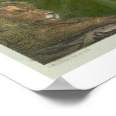 ライオンズ・デンのダニエルは、によって印刷された聖書から ポスター (角)