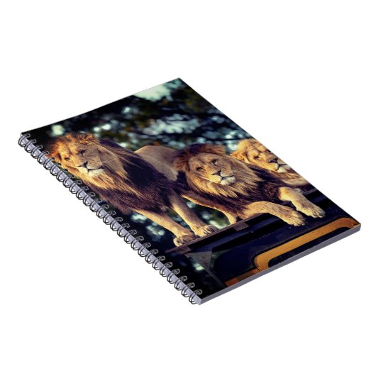 ライオンズ ノートブック (右側)