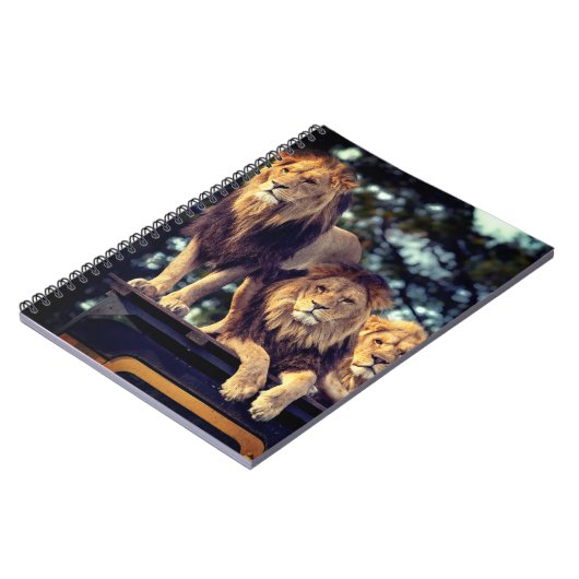 ライオンズ ノートブック (左側)