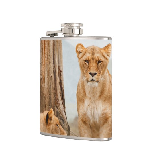 ライオンズ フラスク (左)