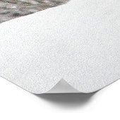 ライオンズ ポスター (角)