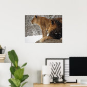 ライオンズ ポスター (ホームオフィス)