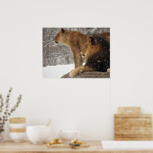 ライオンズ ポスター (キッチン)