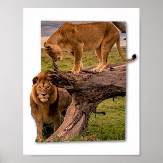 ライオンズ ポスター (正面)