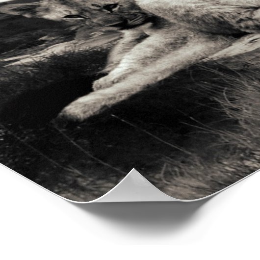 ライオンズ ポスター (角)