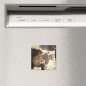 ライオンズ マグネット (インサイチュ (食洗機))