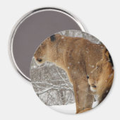 ライオンズ マグネット (正面/裏面)