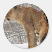 ライオンズ マグネット (正面)