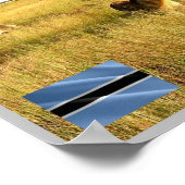 ライオンズOkavangoデルタ –  ポスター (角)