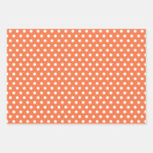 ライオンタイガーキレーフゲーターラッピング紙セット ラッピングペーパーシート (正面2)