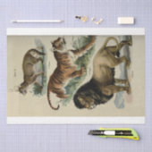 ライオンタイガープマエフエメラデクページ 薄葉紙 (クラフト)