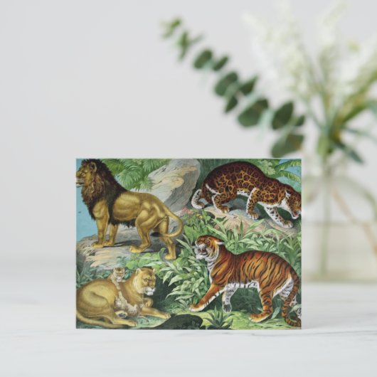 ライオンタイガーレオパードヴィンテージ動物はがき ポストカード (スタンド正面)