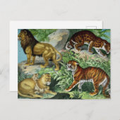 ライオンタイガーレオパードヴィンテージ動物はがき ポストカード (正面/裏面)