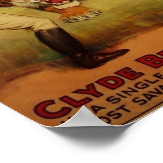 ライオンタメル ポスター (角)