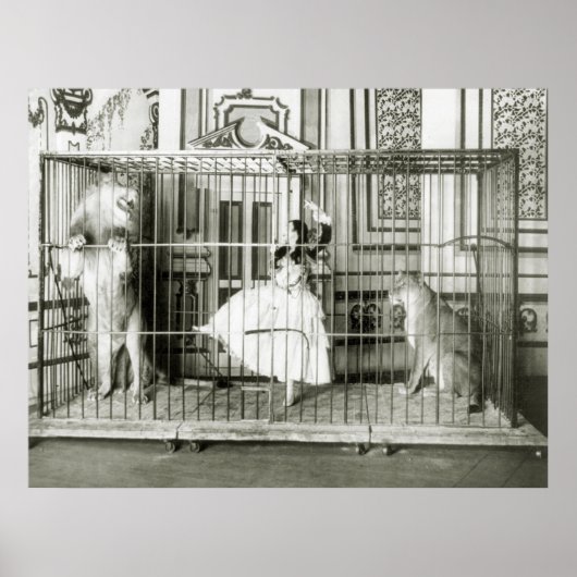 ライオンタメル: 1897年 ポスター (正面)