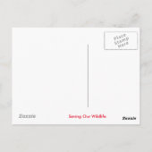 ライオンデザイン ポストカード (裏面)