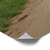 ライオンバイク ポスター (角)