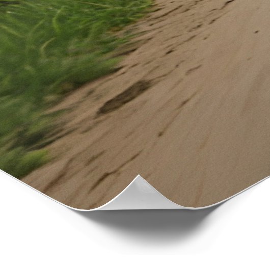 ライオンバイク ポスター (角)