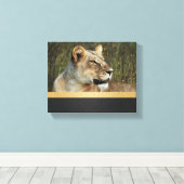 ライオンパンテラレオカヴァンゴデルタボツワナ キャンバスプリント (インサイチュ (ウッドフロア))