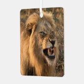 ライオンパーソナライズ名写真クリスマス メタルオーナメント (正面左)