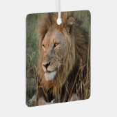 ライオンパーソナライズ名写真クリスマス メタルオーナメント (正面右)