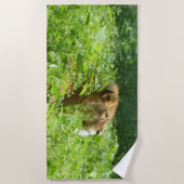 ライオンビーチタオル ビーチタオル (正面)