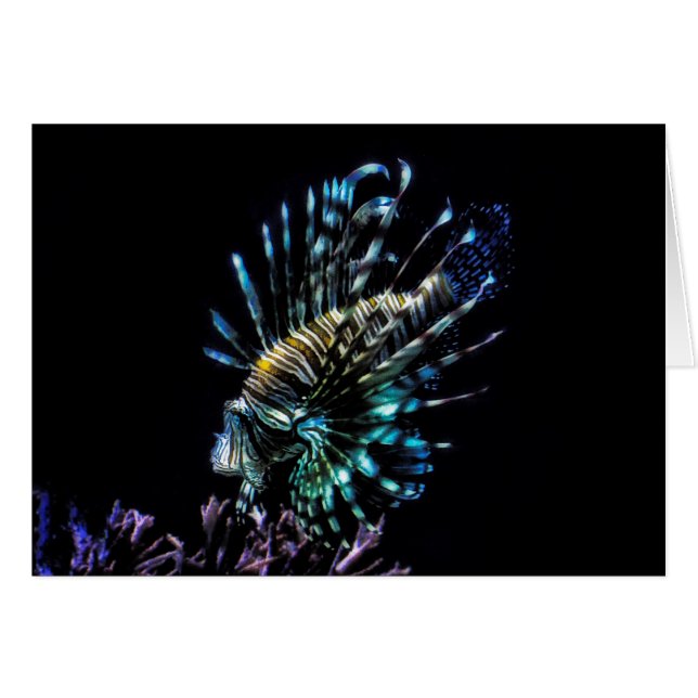 ライオンフィッシュは泳ぐ (正面横)