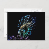 ライオンフィッシュは泳ぐ ポストカード (正面/裏面)