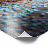 ライオンフィッシュプリント フォトプリント            (角)