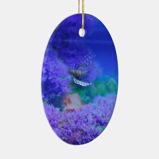 ライオンフィッシュ水族館フィッシュパープルプテロイゼブラフィッシュ セラミックオーナメント (右)