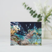 ライオンフィッシュ素晴らしオンザバリアリーフ葉書 ポストカード (スタンド正面)