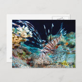 ライオンフィッシュ素晴らしオンザバリアリーフ葉書 ポストカード (正面/裏面)